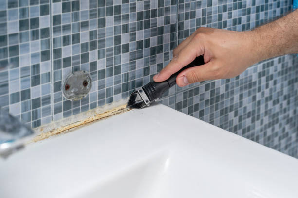 Best Mold Cleaning Services  in St Augustine, FL